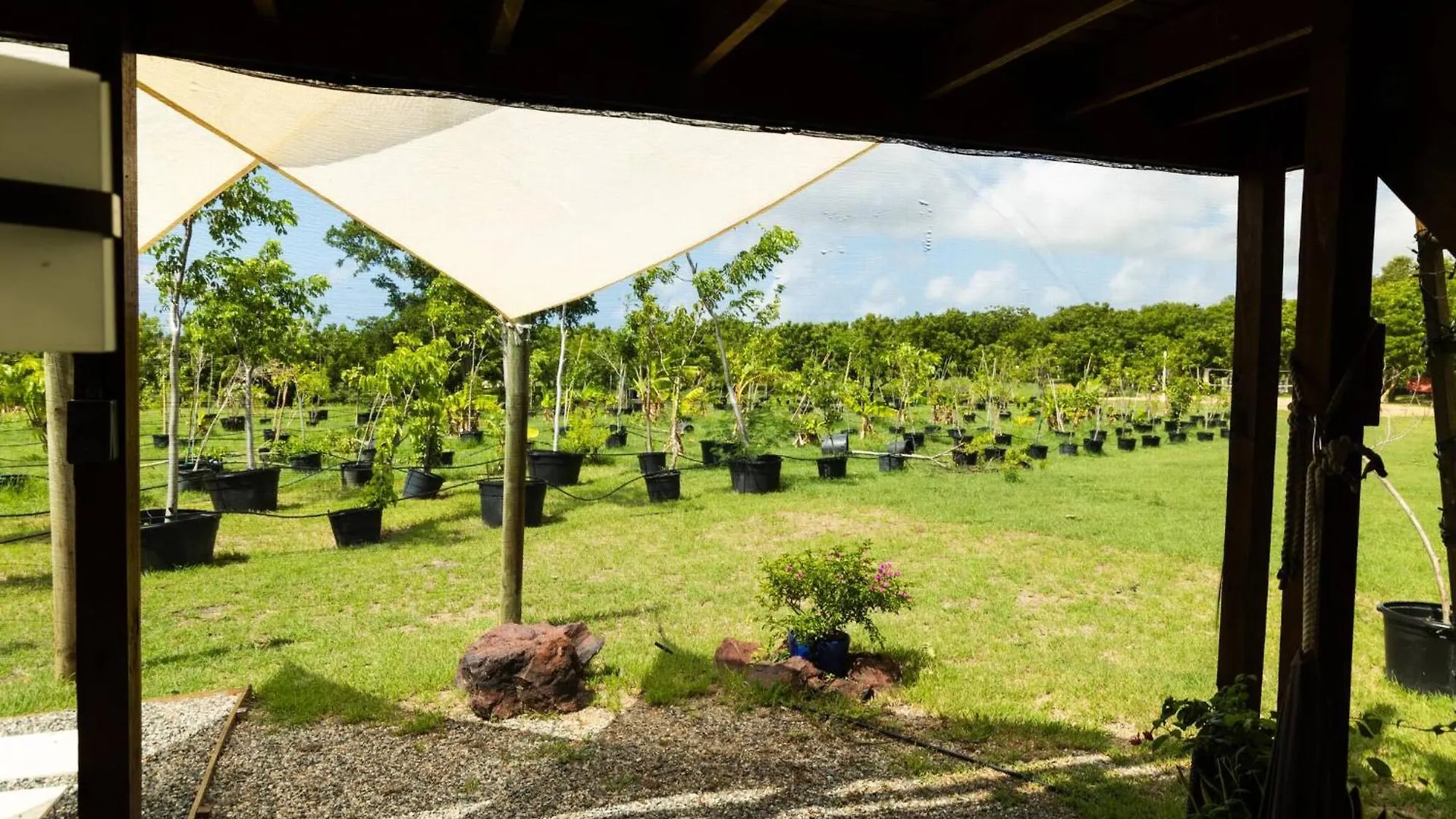 Eco-Friendly Glamping With Private Pool Villa Cabo Rojo Holiday home